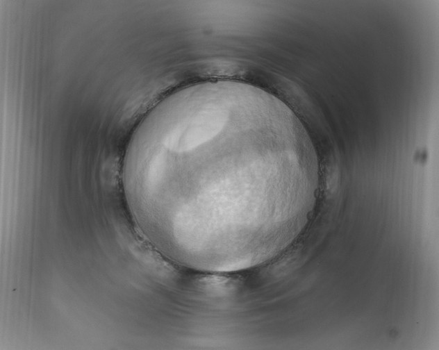 X0000111360326200907241228