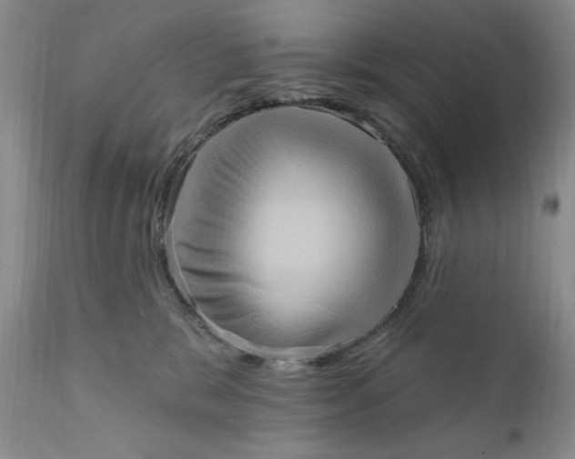 X0000111360327200907241228