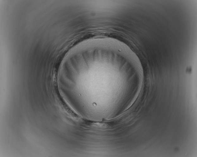 X0000111360328200907241228