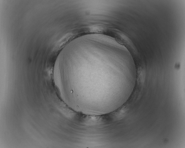 X0000111360329200907241228