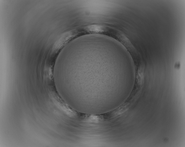 X0000111360330200907241228