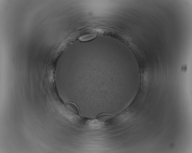 X0000111360331200907241228