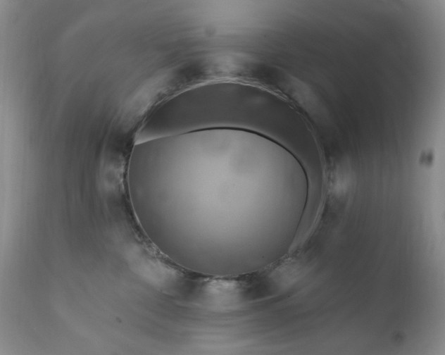 X0000111360332200907241228