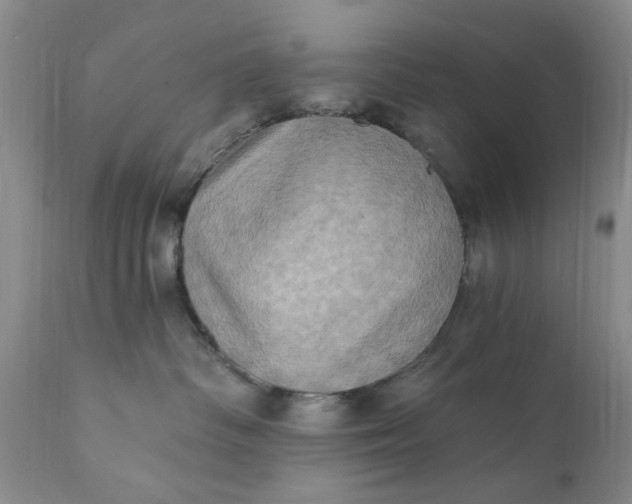 X0000111360334200907241228