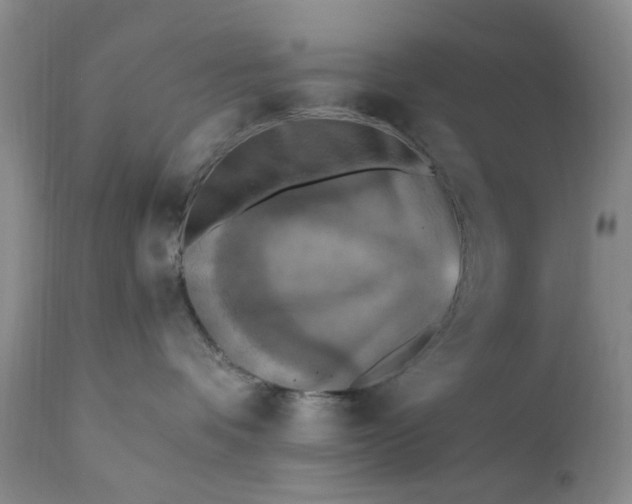 X0000111360336200907241228