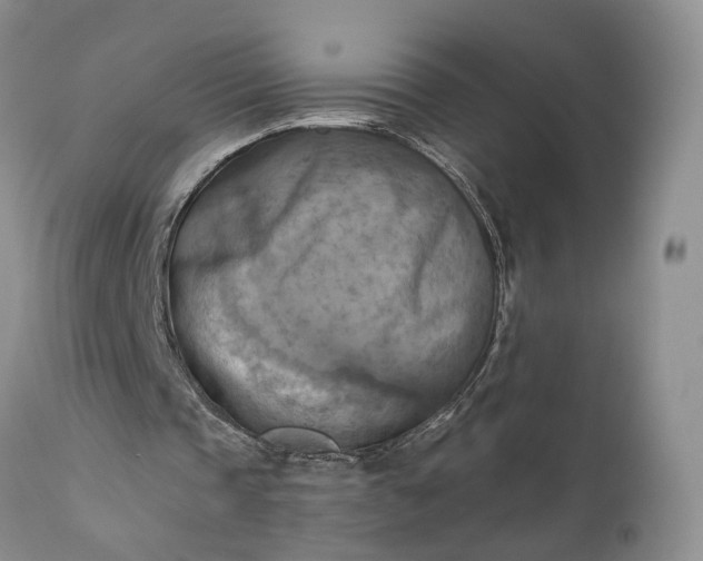 X0000111360337200907241227