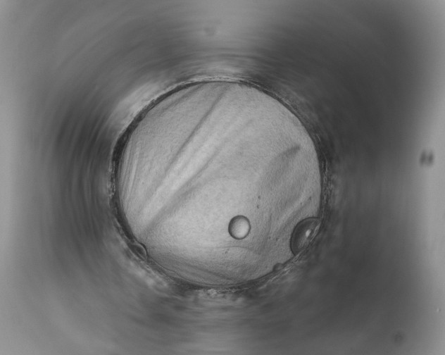 X0000111360338200907241227
