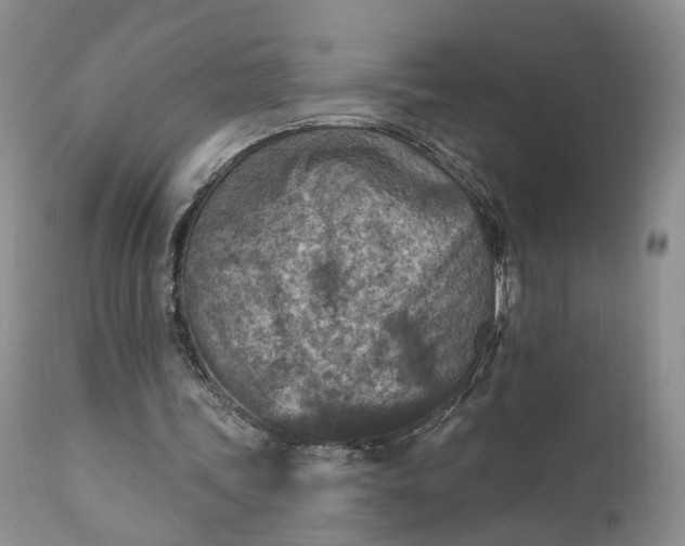 X0000111360339200907241227