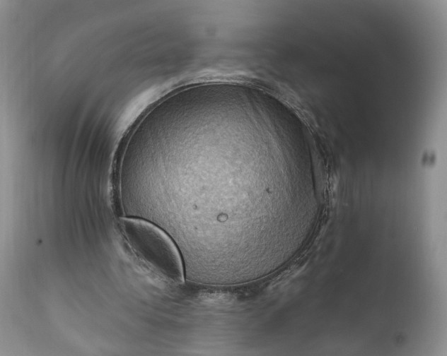 X0000111360340200907241227