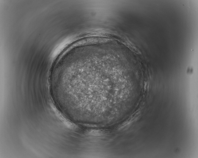 X0000111360341200907241227