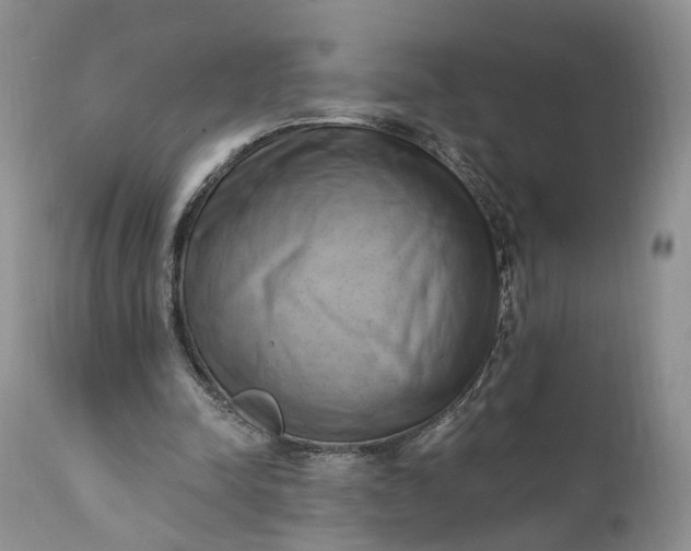 X0000111360342200907241227