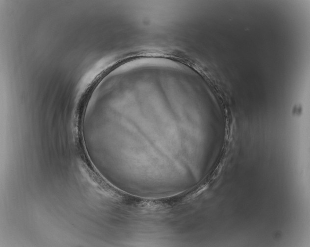 X0000111360343200907241227