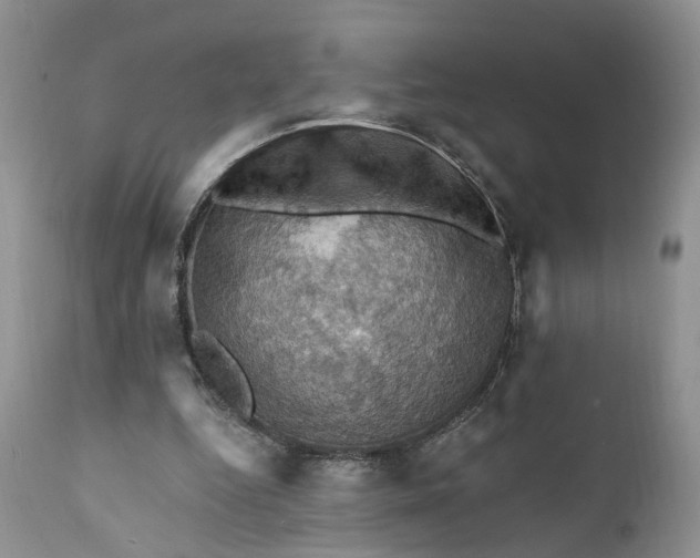 X0000111360344200907241227