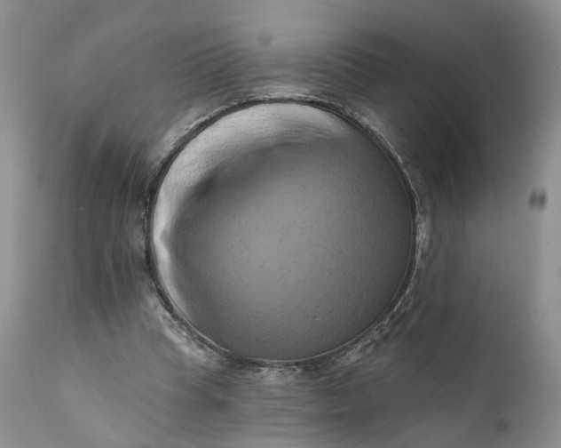 X0000111360345200907241227
