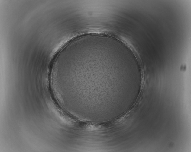 X0000111360346200907241227