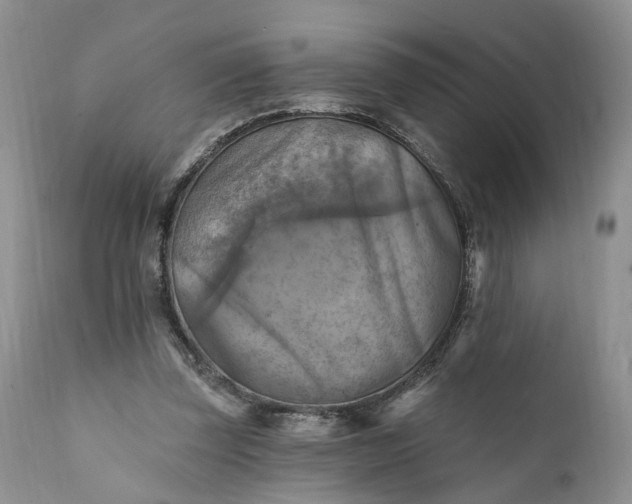 X0000111360347200907241227