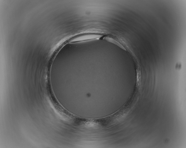 X0000111360348200907241227