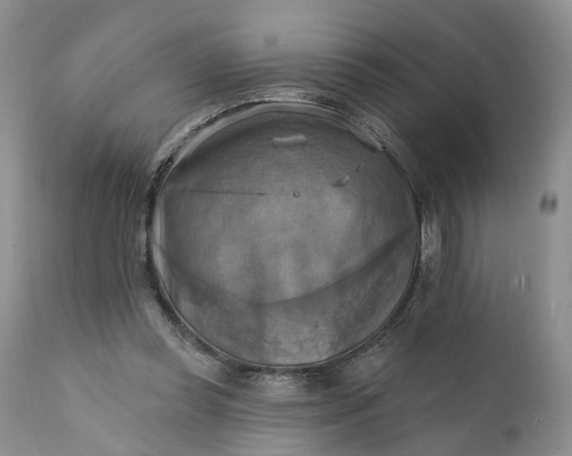 X0000111360349200907241227