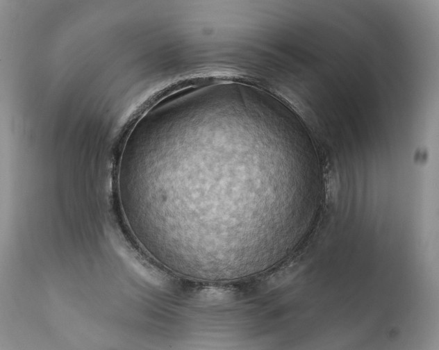 X0000111360350200907241227