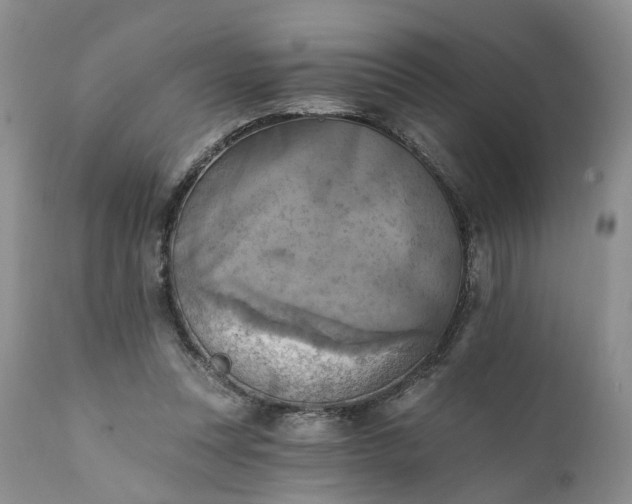 X0000111360351200907241227