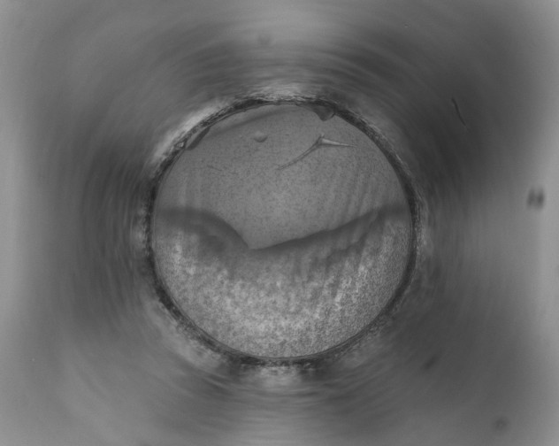 X0000111360353200907241227