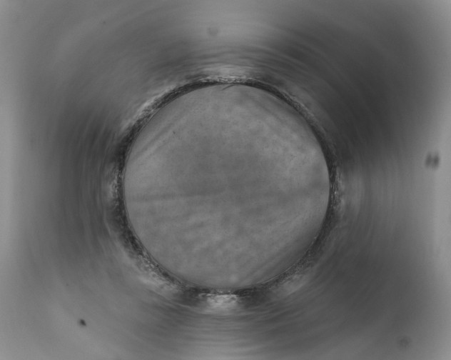 X0000111360355200907241227