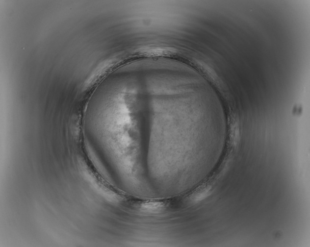 X0000111360357200907241227