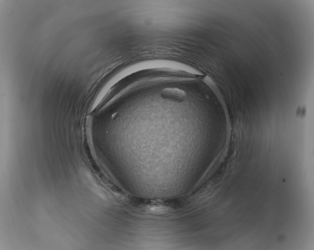 X0000111360360200907241227