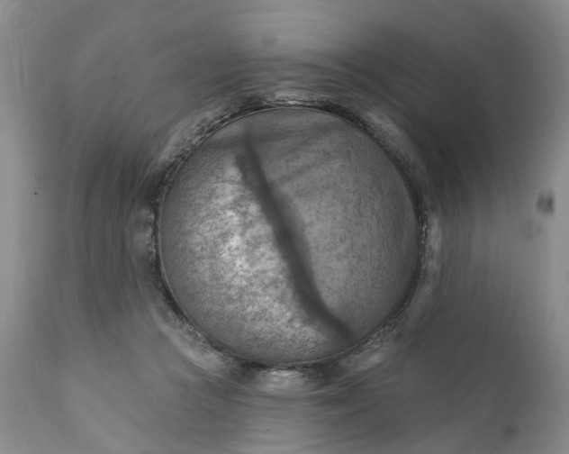 X0000111360361200907241227