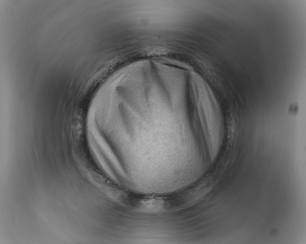 X0000111360362200907241227
