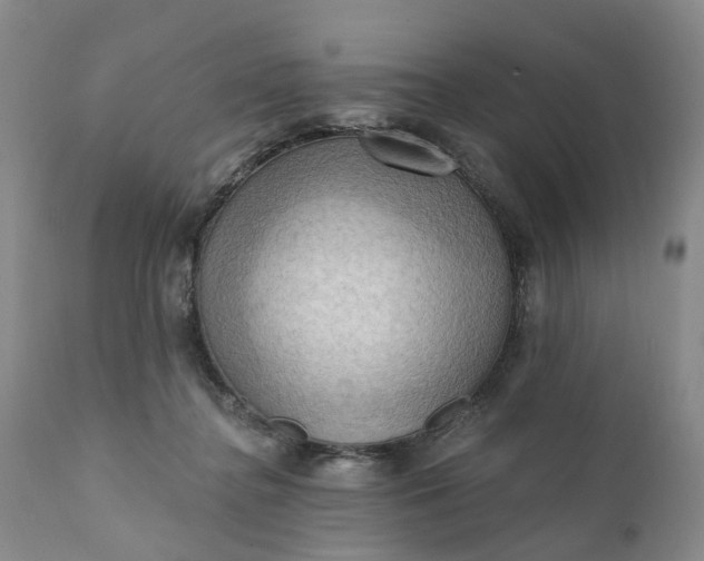 X0000111360364200907241227