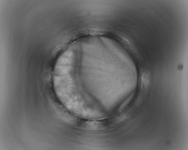 X0000111360367200907241228