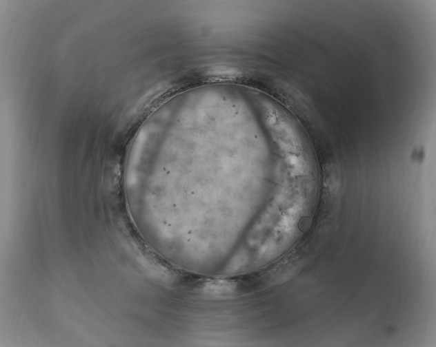 X0000111360369200907241228