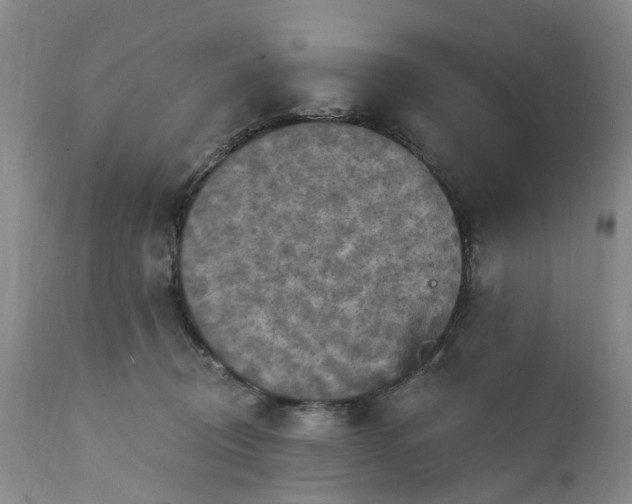 X0000111360370200907241228