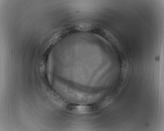 X0000111360371200907241228