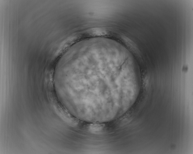 X0000111360373200907241228