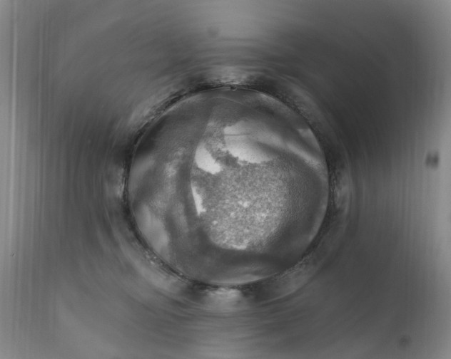 X0000111360374200907241228