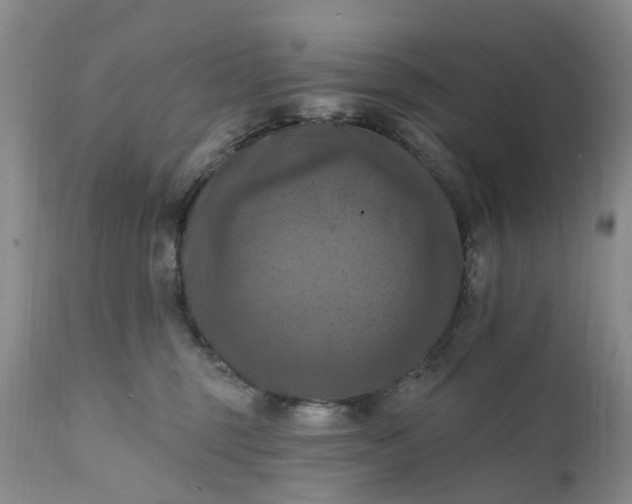 X0000111360375200907241228