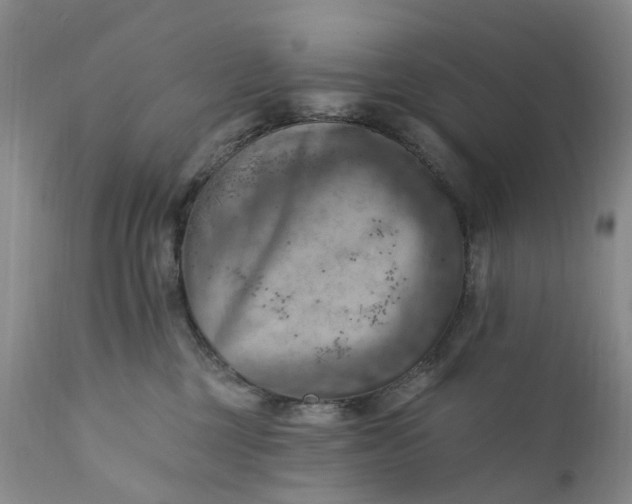 X0000111360377200907241228
