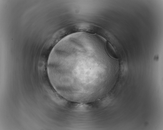 X0000111360379200907241228