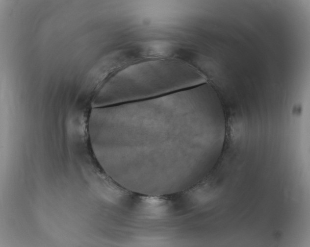 X0000111360380200907241228
