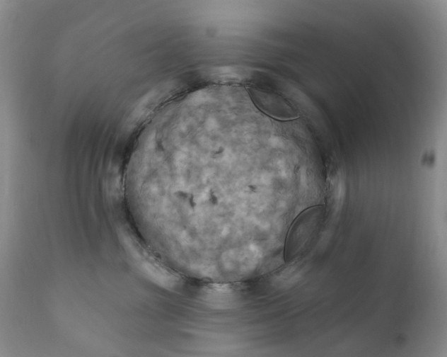 X0000111360381200907241228