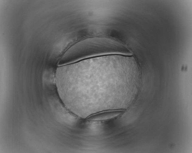 X0000111360384200907241228
