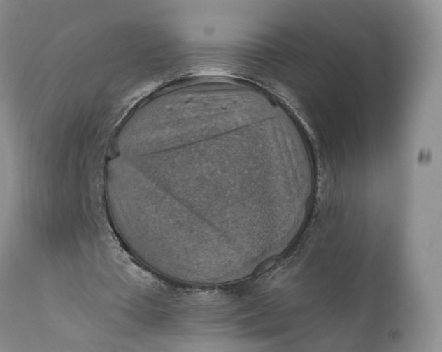 X0000111360385200907241227