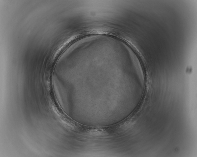 X0000111360386200907241227