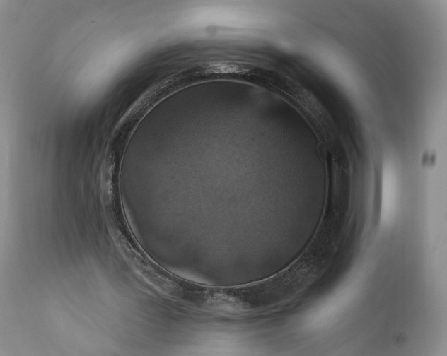 X0000111360387200907241227