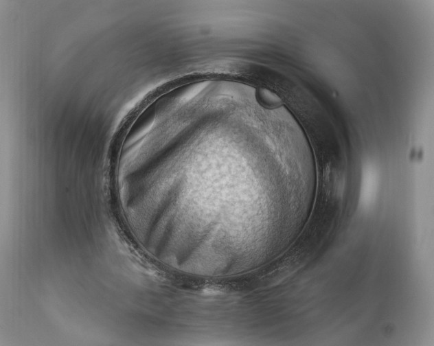 X0000111360388200907241227