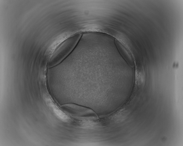X0000111360389200907241227