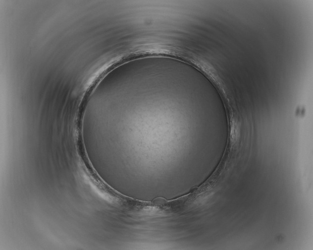 X0000111360390200907241227
