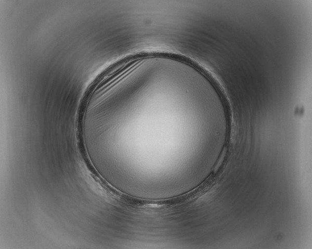 X0000111360391200907241227